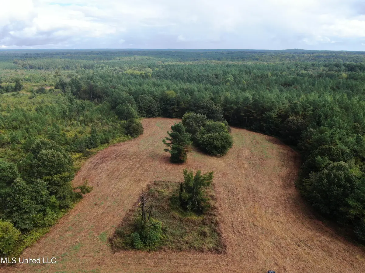 0 Mt. Gilead Road, Holly Springs, MS 38635 - Image #1