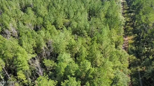 5464a Pecan Orchard Road, Liberty, MS 39645 - #3