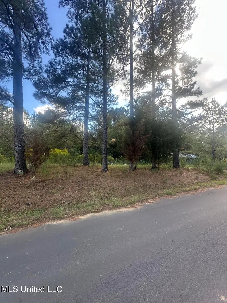 0 N Enoch Grove Road, Florence, MS 39073 - Image #2