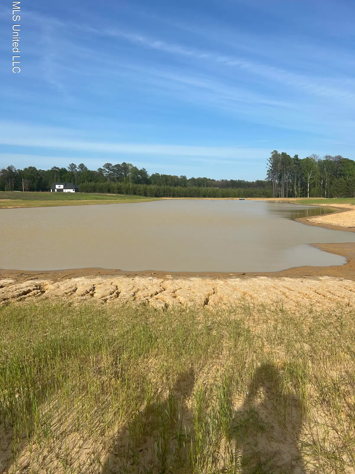 Lot 94 Freedom Farms Crossing, Brandon, MS 39047 - Image #1