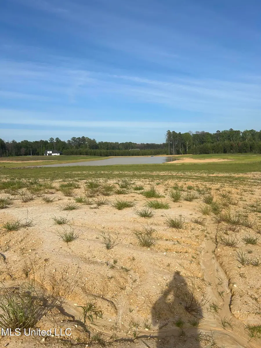 Lot 94 Freedom Farms Crossing, Brandon, MS 39047 - Image #2