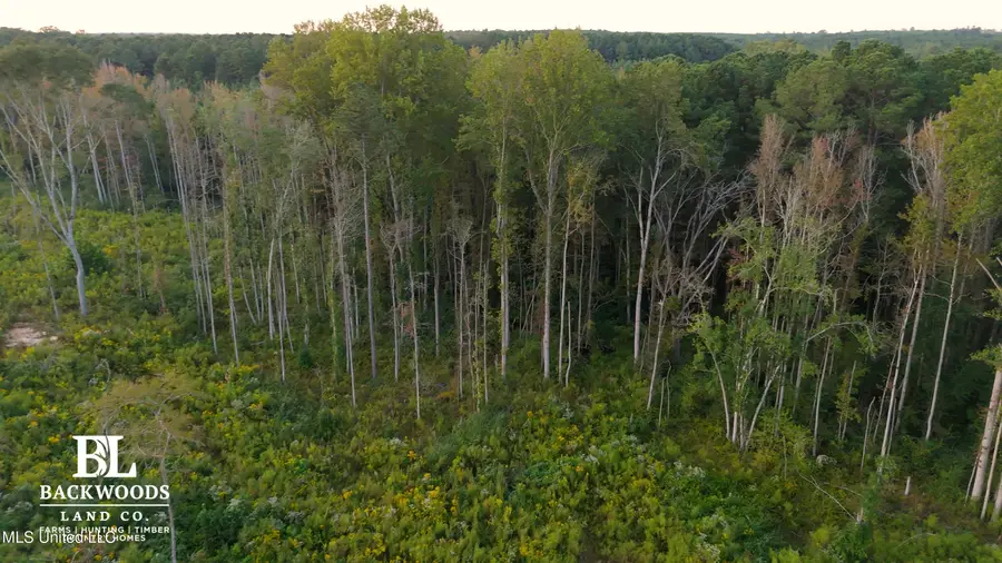 02 Edwards Rd, Kosciusko, MS 39090 - Image #2