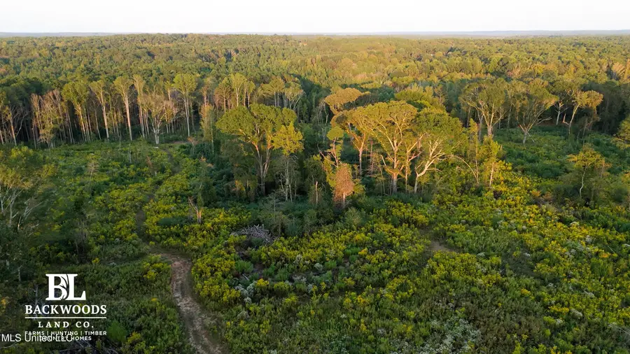 02 Edwards Rd, Kosciusko, MS 39090 - Image #3