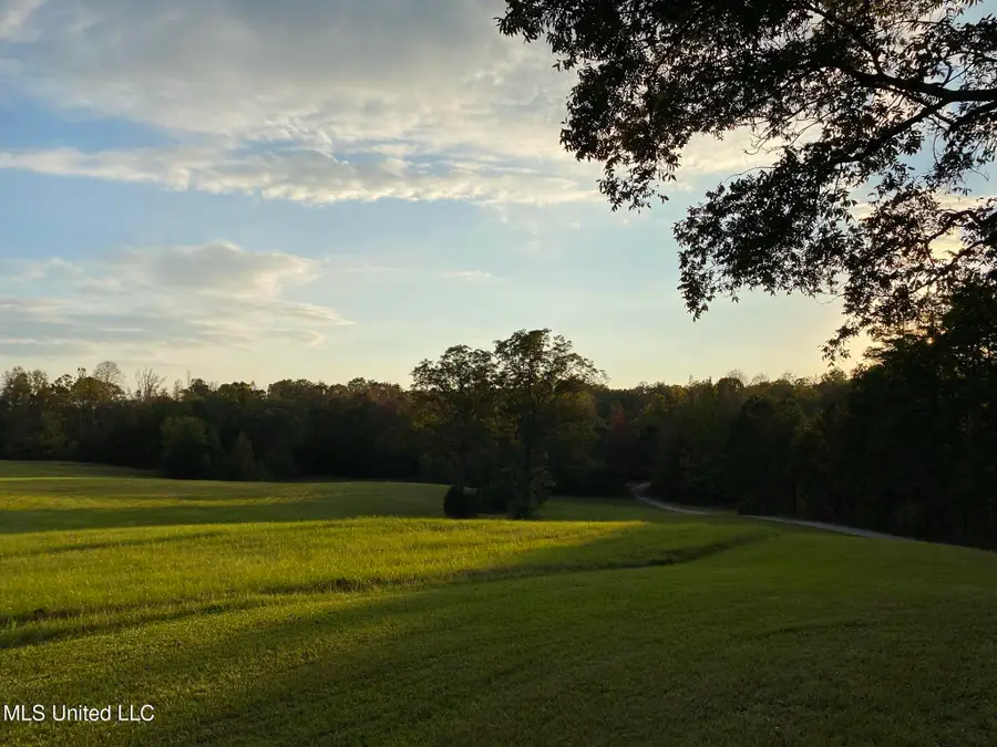 1975 Ms-178, Myrtle, MS 38650 - Image #3