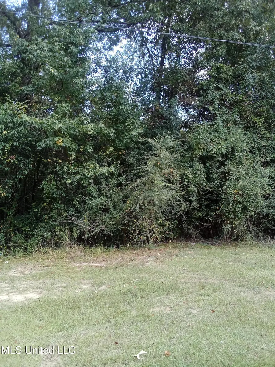 0 Johnson Drive, Pearl, MS 39208 - Image #2