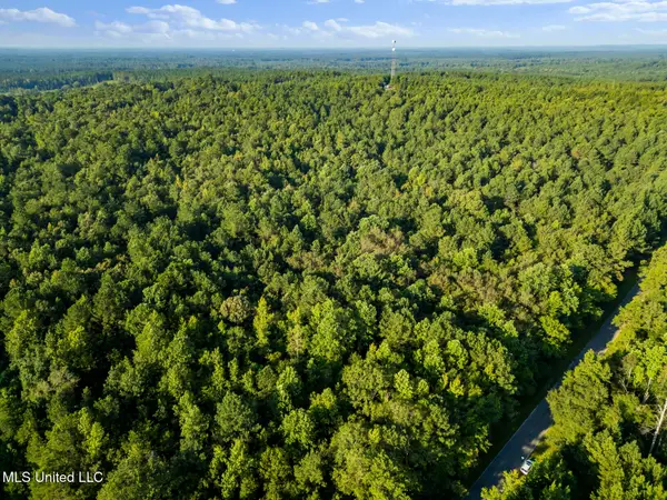 Oxford Rd, Lauderdale, MS 39335