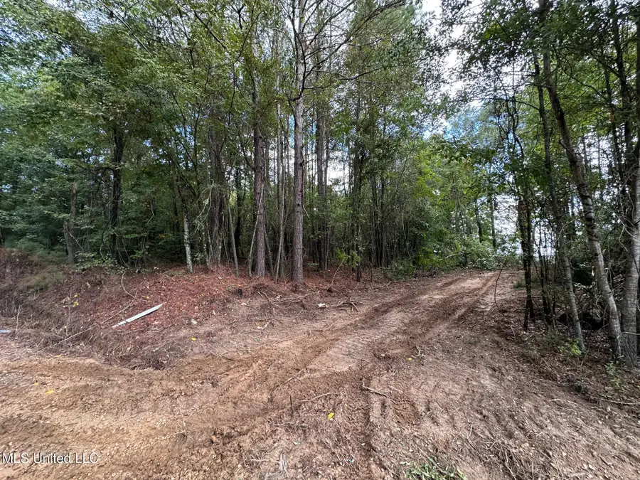 1923 Attala County Road 4001, Goodman, MS 39079 - Image #2