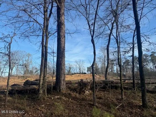 Lot 1 Slocum Road, Hernando, MS 38632 - Image #1