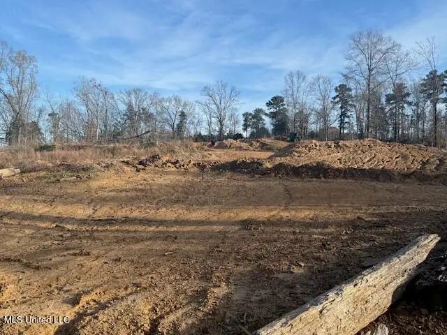 Lot 1 Slocum Road, Hernando, MS 38632 - Image #2