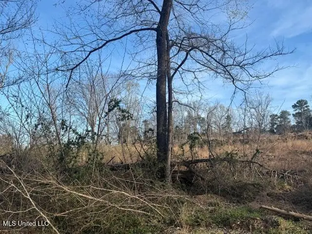 Lot 1 Slocum Road, Hernando, MS 38632 - Image #3