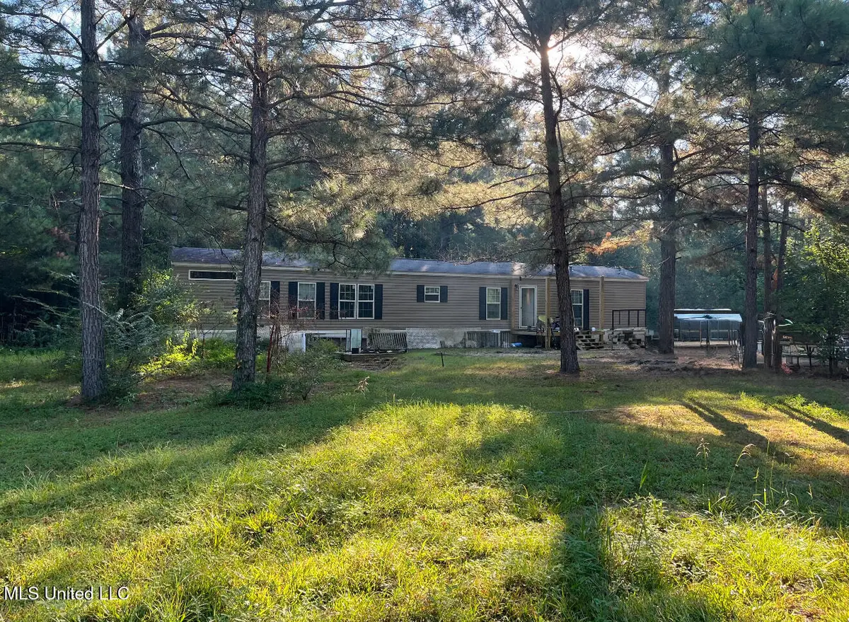 4 Lizie Lane, Mount Olive, MS 39119 - Image #1