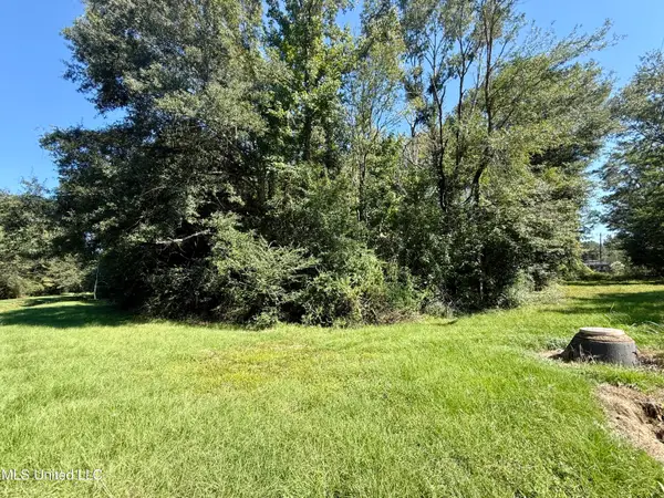 Tbd Williams, Brookhaven, MS 39601