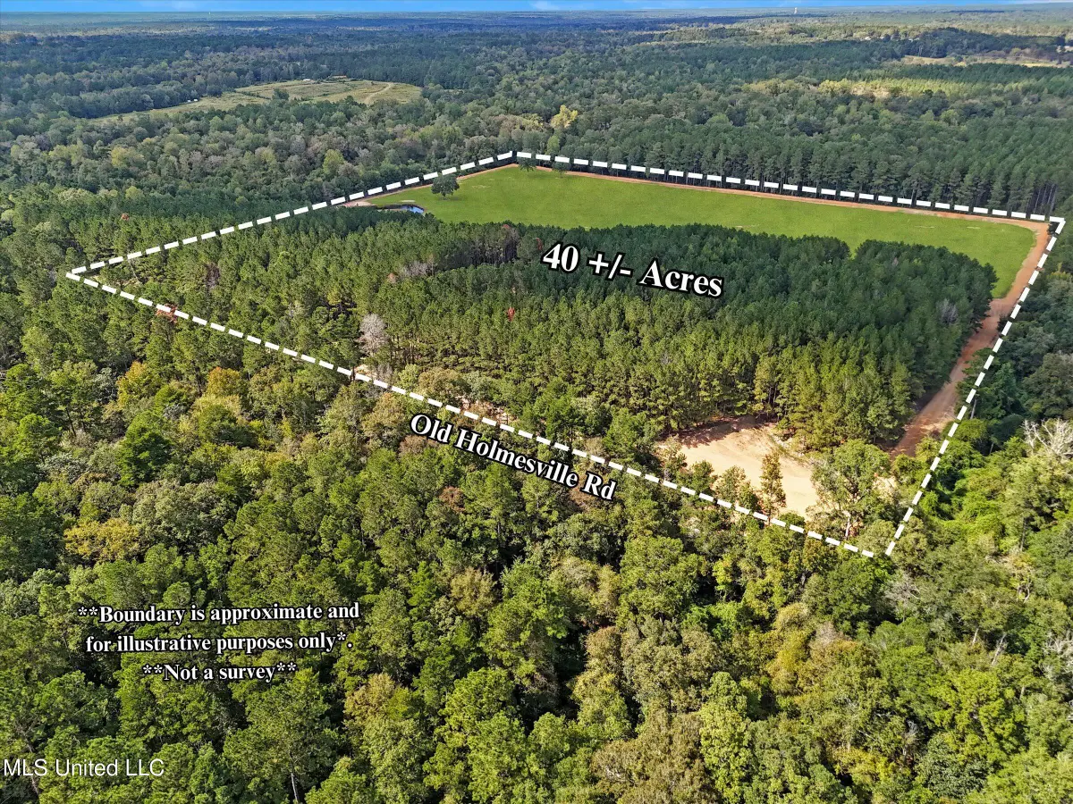 869 Old Holmesville Road, Tylertown, MS 39667 - Image #1