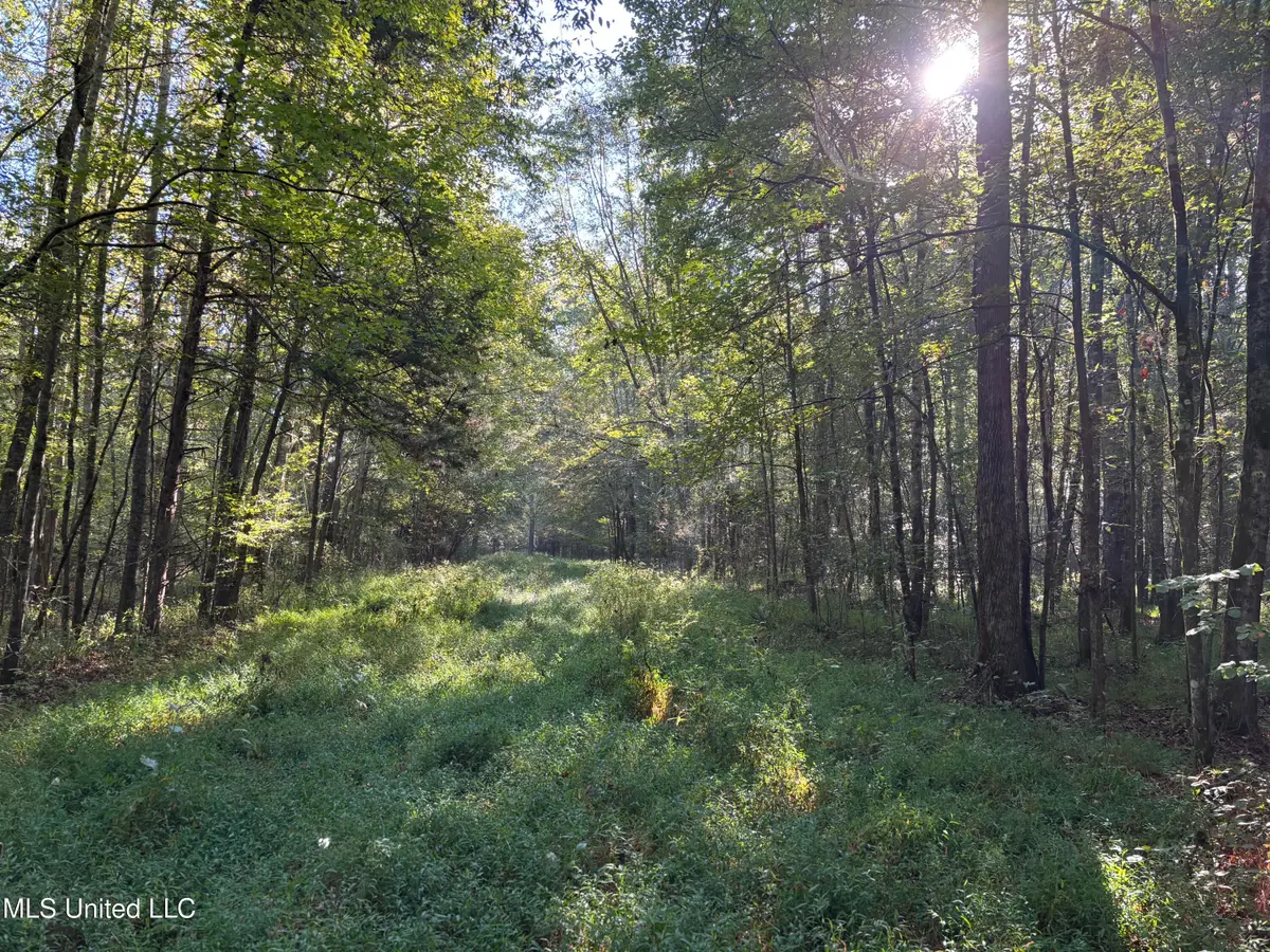 000 Ms-9, McCool, MS 39108 - Image #1