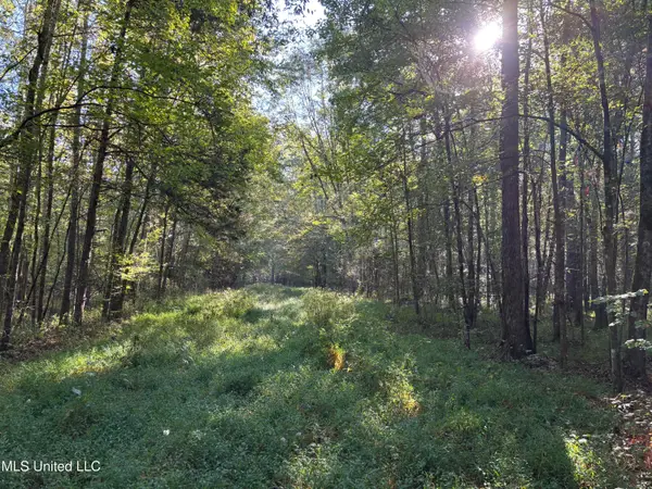 000 Ms-9, McCool, MS 39108