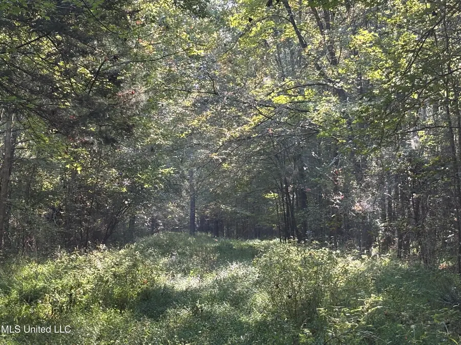 000 Ms-9, McCool, MS 39108 - Image #2