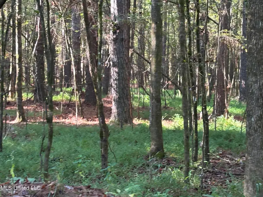 000 Ms-9, McCool, MS 39108 - Image #3