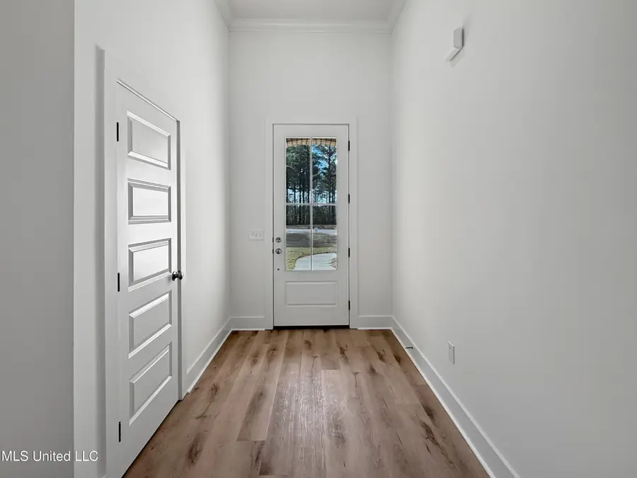223 New Haven Lane, Brandon, MS 39042 - Image #3