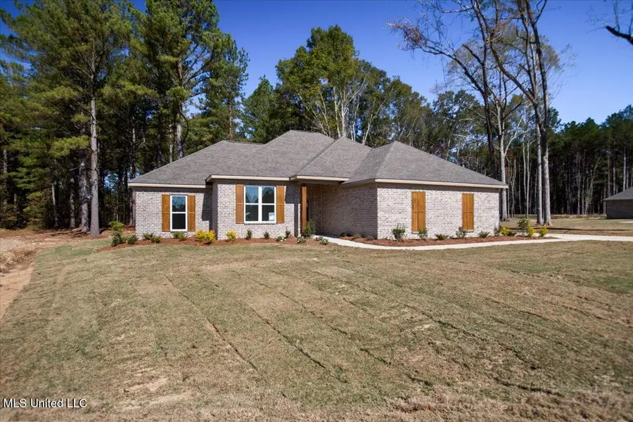 307 Stronghold Drive, Brandon, MS 39042 - Image #2