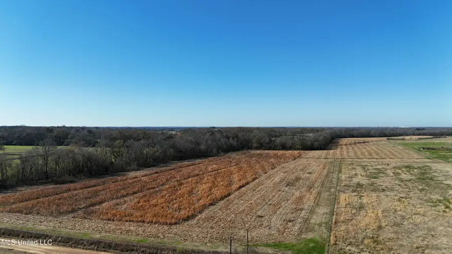 940 Endris Road, Canton, MS 39046 - Image #3