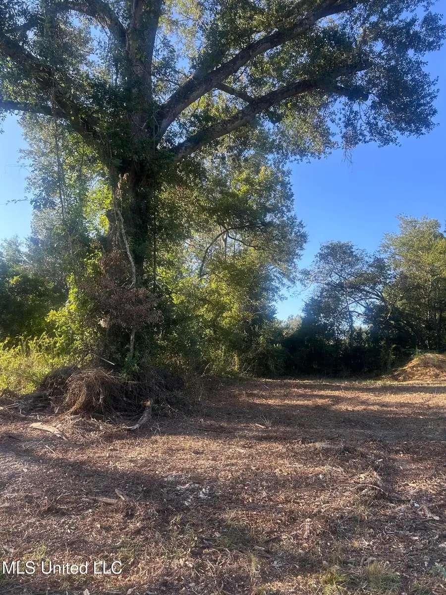 224 W Holly Street, Magnolia, MS 39652 - Image #2