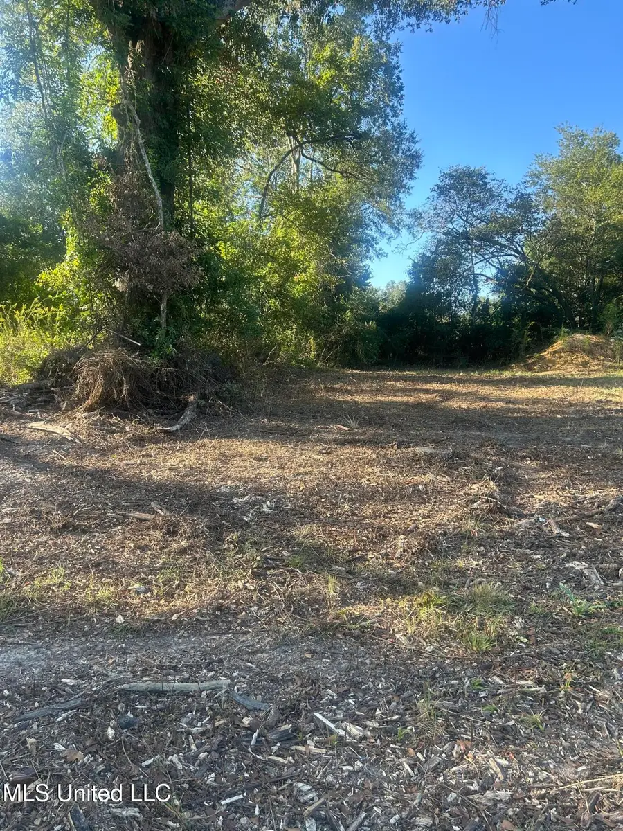 224 W Holly Street, Magnolia, MS 39652 - Image #3