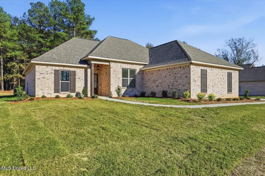 217 New Haven Lane, Brandon, MS 39042 - Image #2