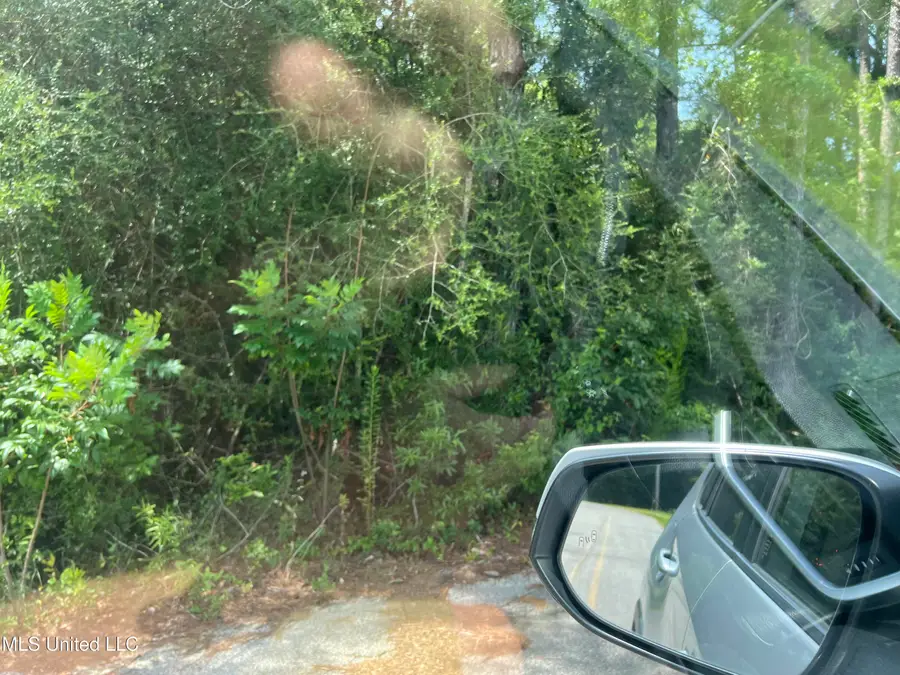0 N Pine Ext Road, Pass Christian, MS 39571 - Image #3