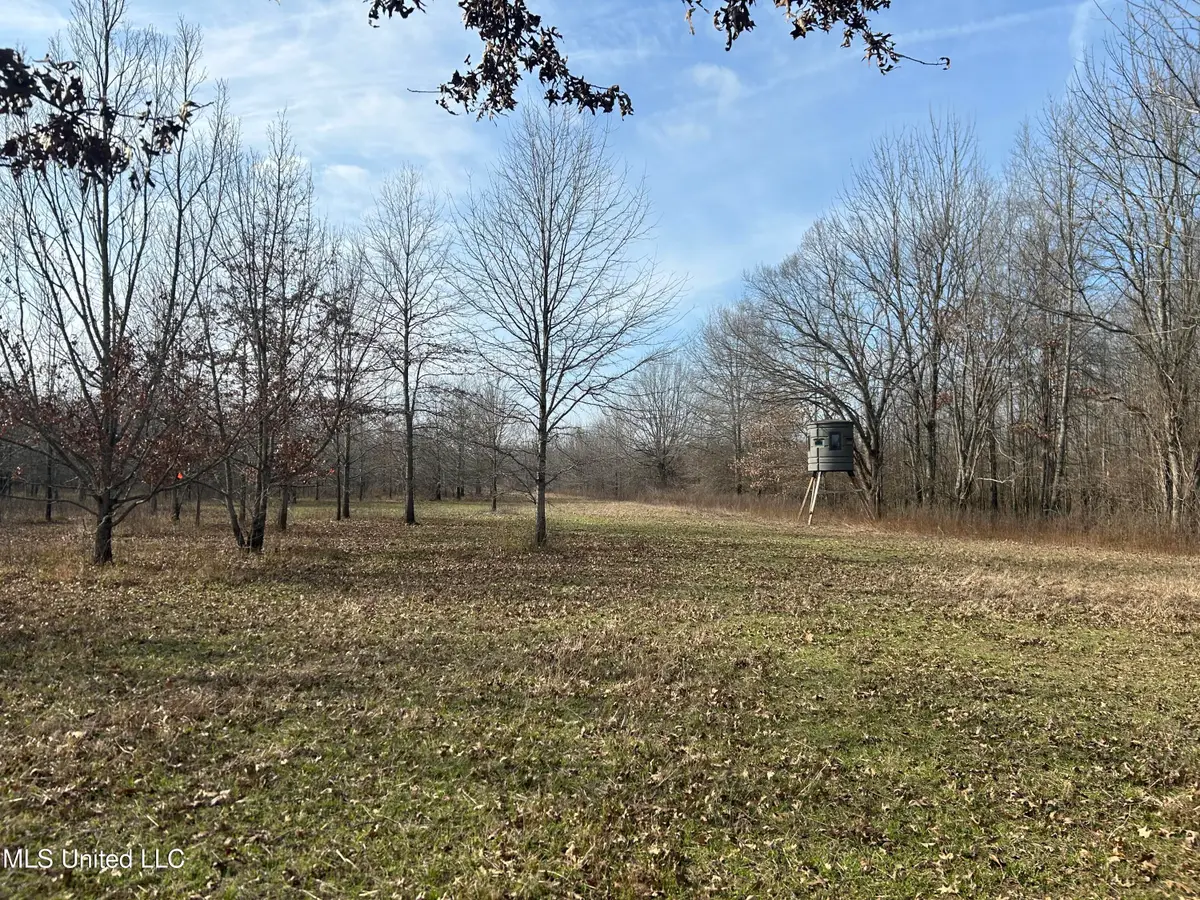 Hwy 278, Marks, MS 38646 - Image #1