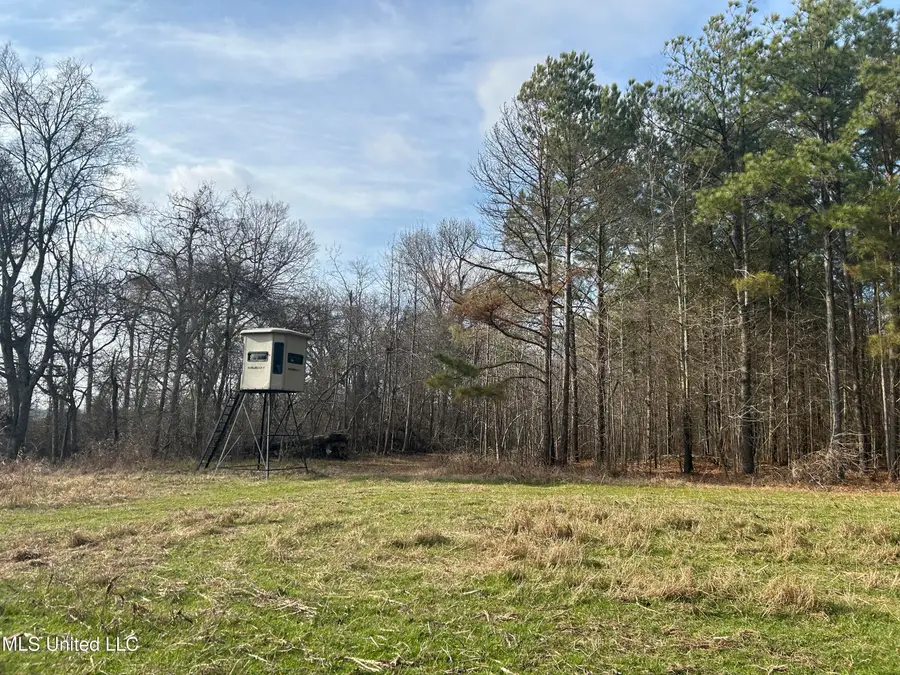 Hwy 278, Marks, MS 38646 - Image #3