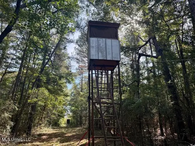 Beartown Road, Jayess, MS 39641 - Image #3