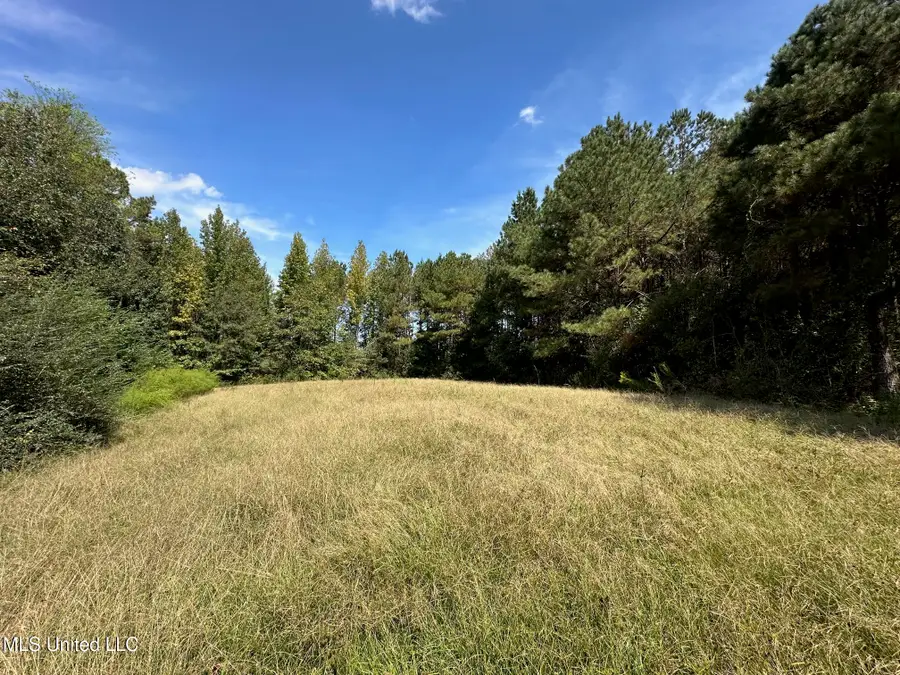 624 Caraway Road, Hickory, MS 39332 - Image #2