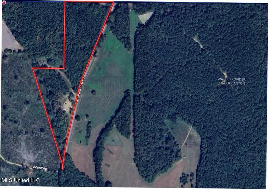 243 Old 51 Road, Pickens, MS 39146 - Image #2