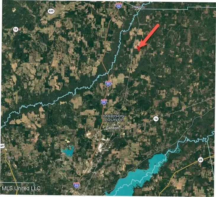 243 Old 51 Road, Pickens, MS 39146 - Image #3