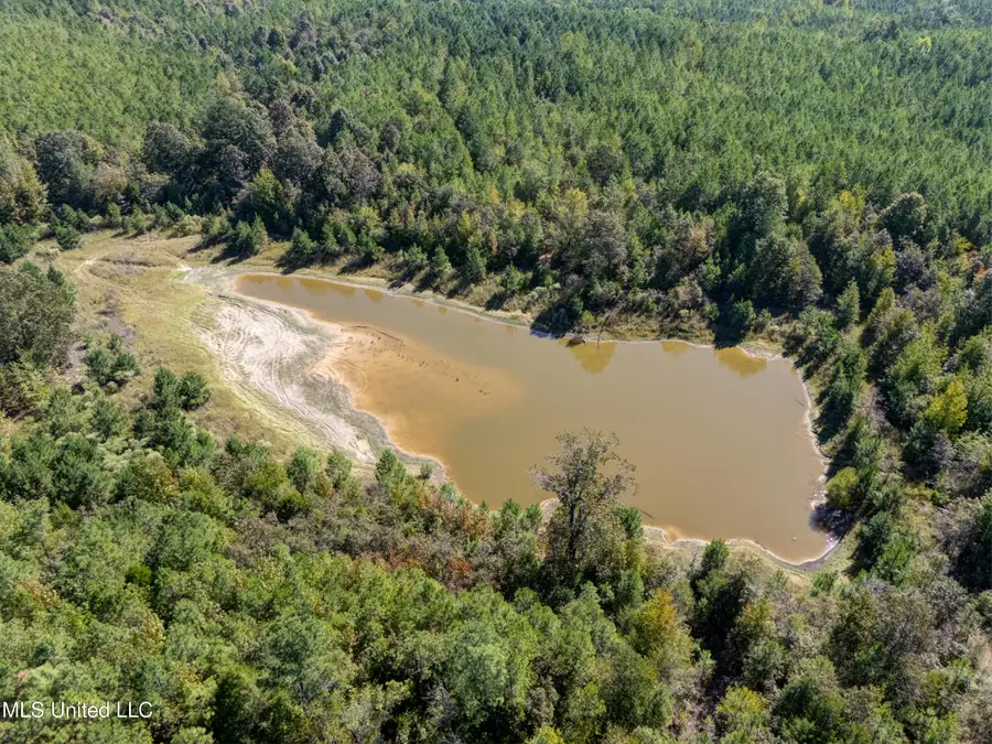 0 Holmes Road, Batesville, MS 38606 - Image #3