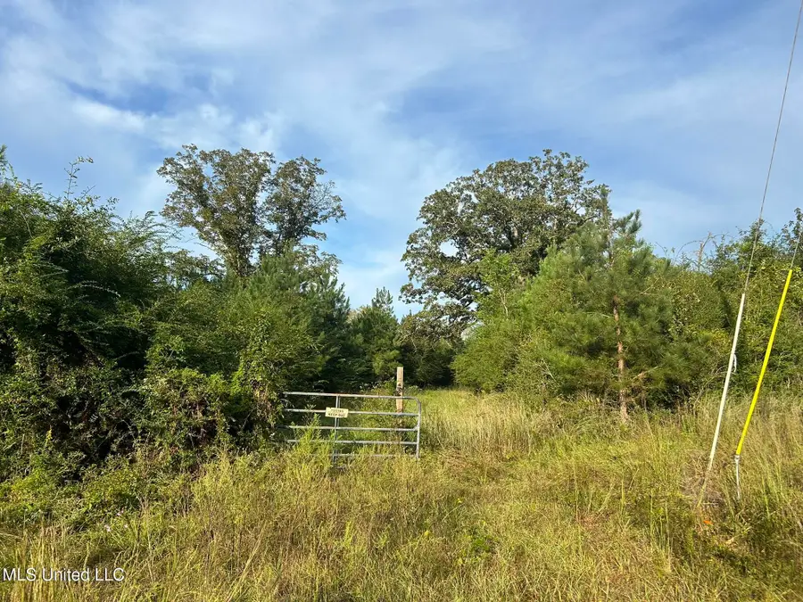 Tbd N River Road, Summit, MS 39666 - Image #2