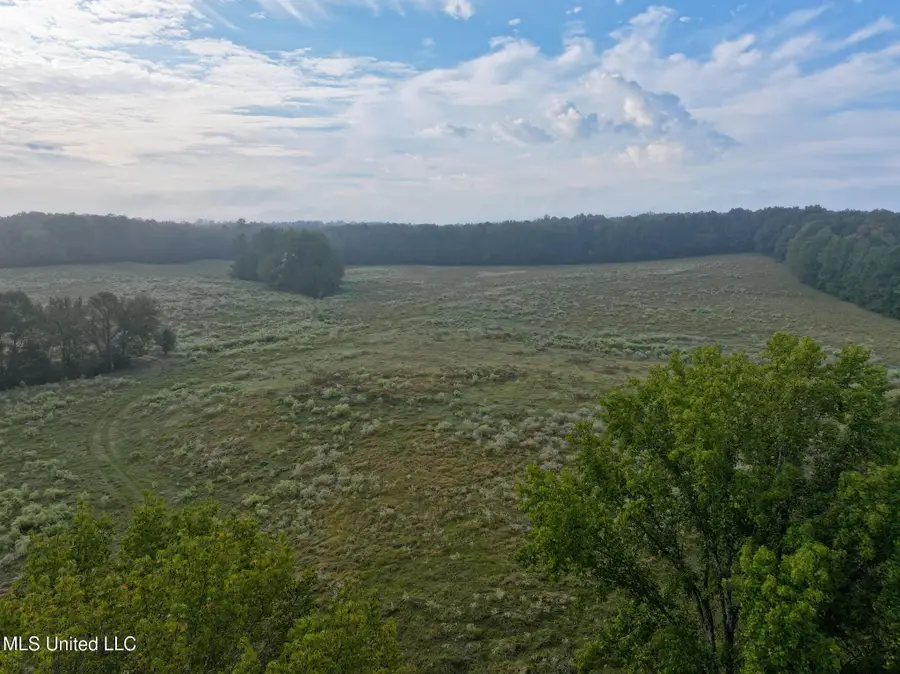 2080 Chapman Road, Utica, MS 39175 - Image #2