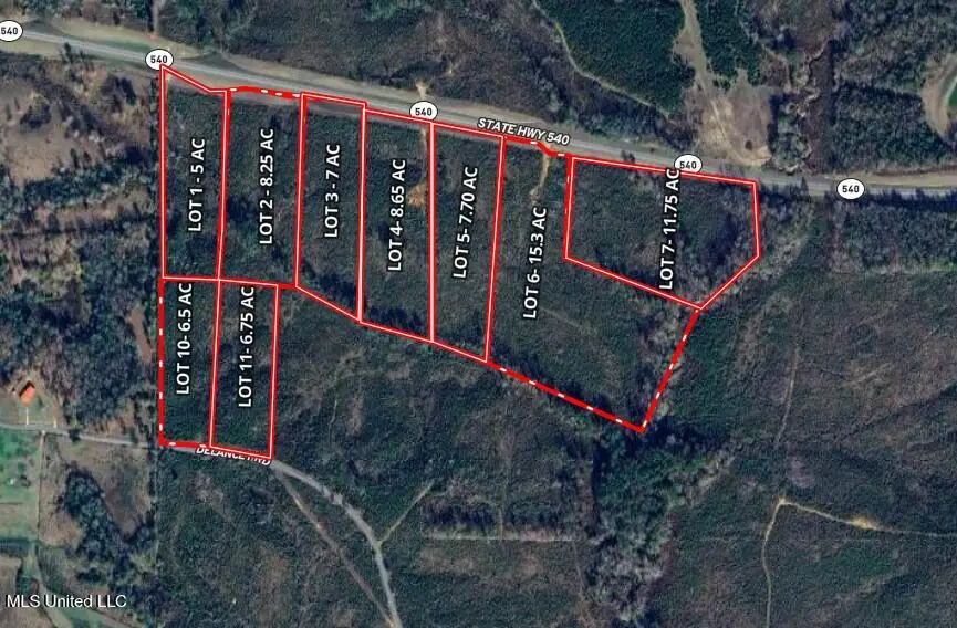 Ms Hwy 540, Braxton, MS 39044 - Image #1