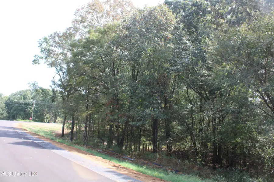 1 Hickory Hollow Road, Hernando, MS 38632 - Image #3