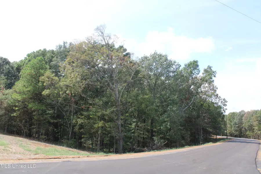 2 Hickory Hollow Road, Hernando, MS 38632 - Image #2