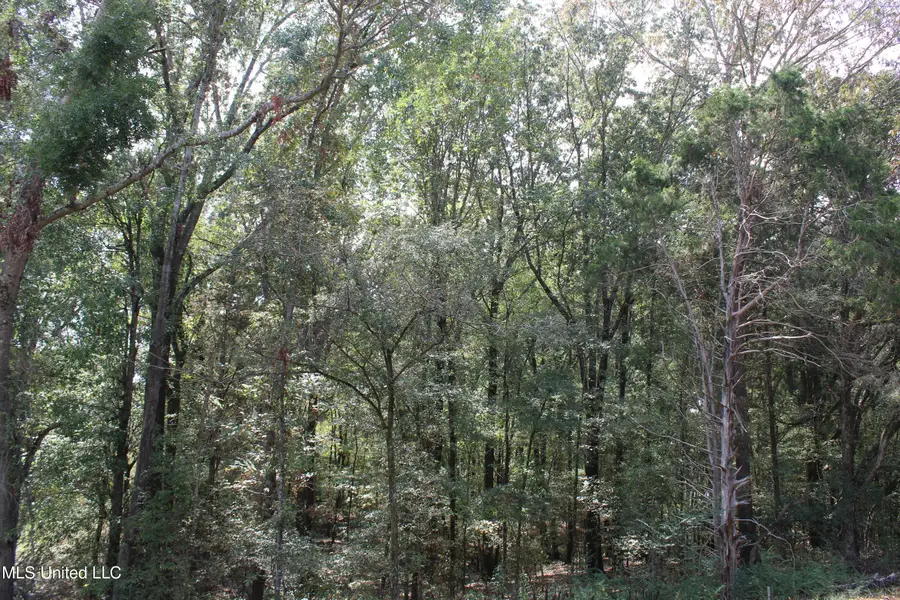 2 Hickory Hollow Road, Hernando, MS 38632 - Image #3