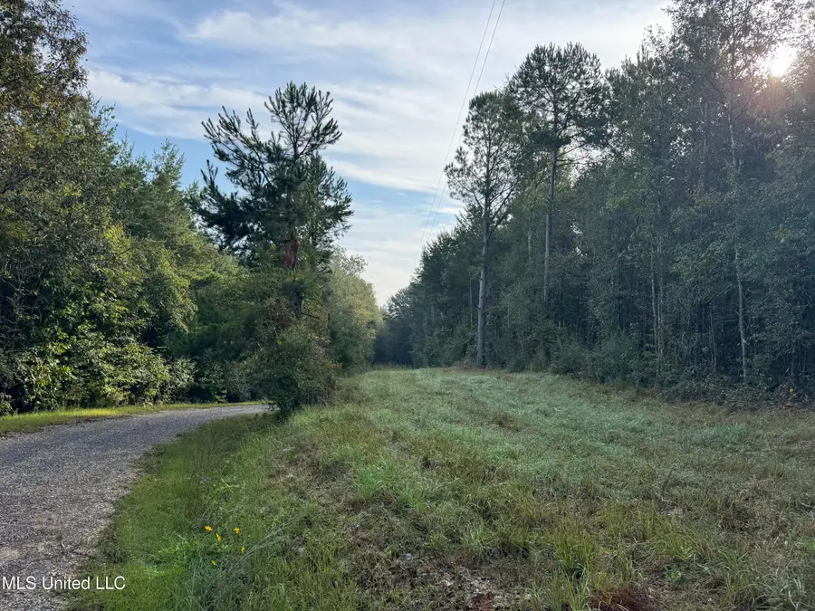 741 SE Hughs Hill Lane, Brookhaven, MS 39601 - Image #2