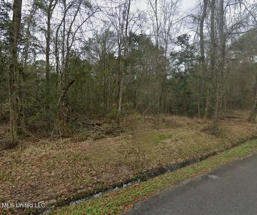 Highway 604 & 1st Avenue, Pearlington, MS 39572 - Image #2