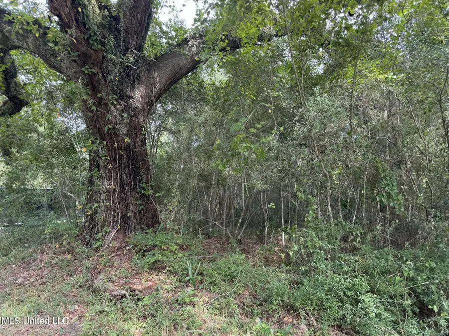 Highway 604 & 1st Avenue, Pearlington, MS 39572 - Image #3