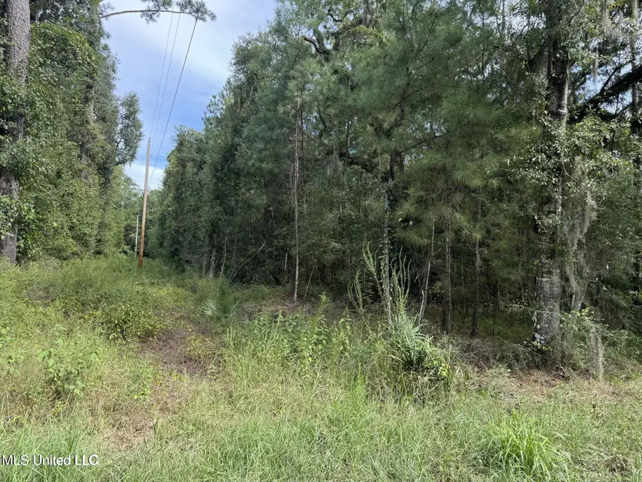 Highway 604 & 1st Avenue, Pearlington, MS 39572 - Image #3