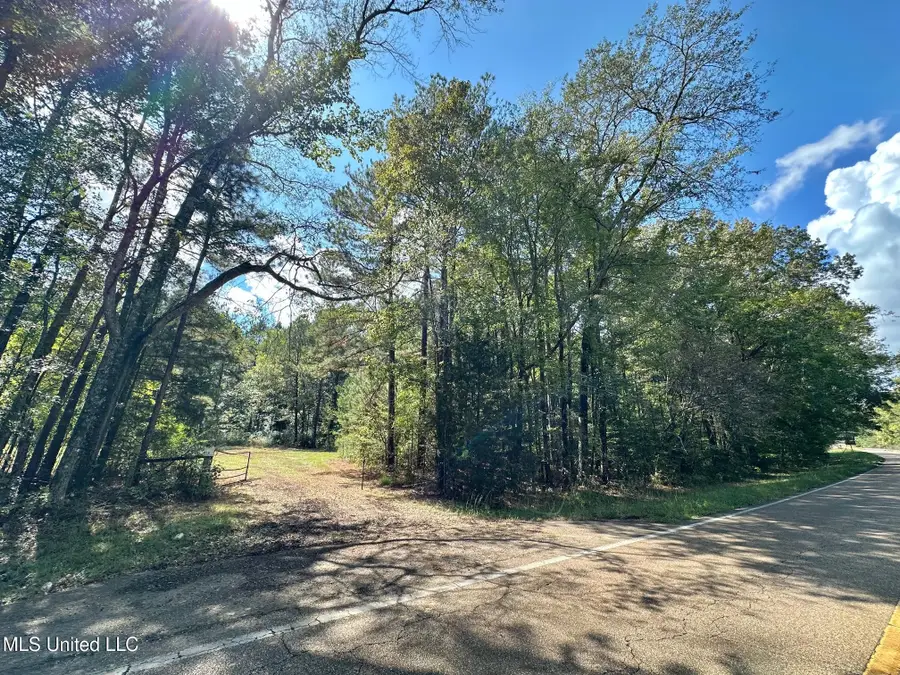 0 Highway 469, Florence, MS 39073 - Image #2
