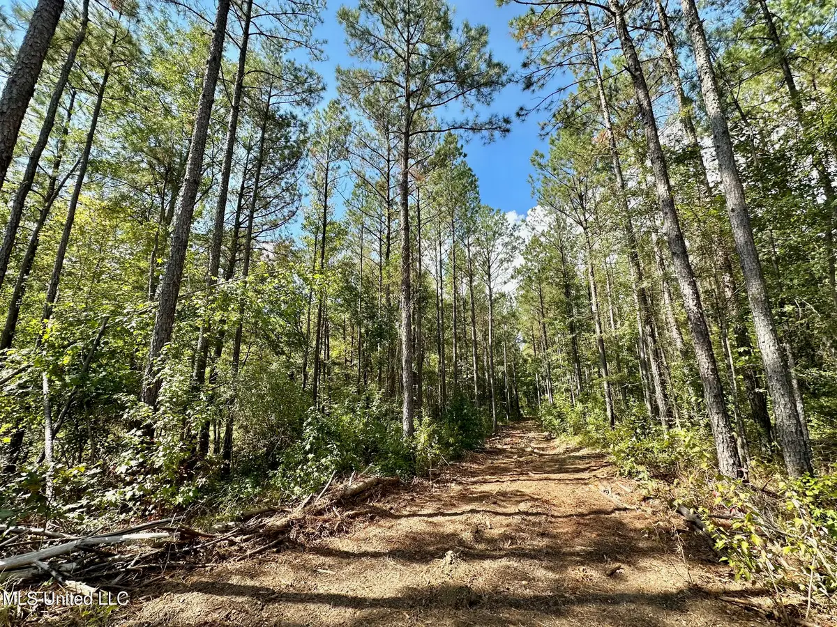 0 Bridges Road, Florence, MS 39073 - Image #1