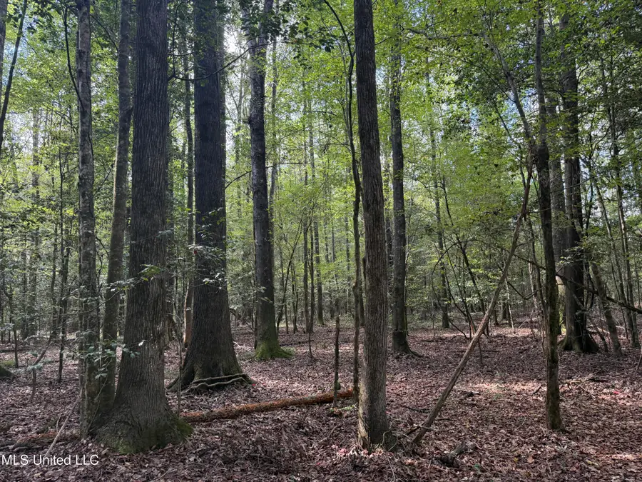 Attala Road 5216, Kosciusko, MS 39090 - Image #2