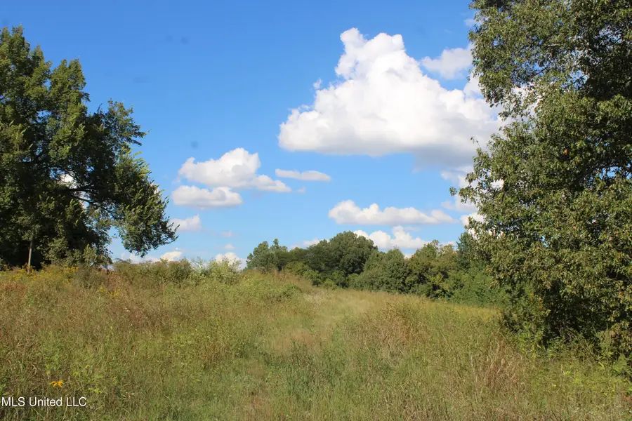 5300 Desoto Road, Walls, MS 38680 - Image #2