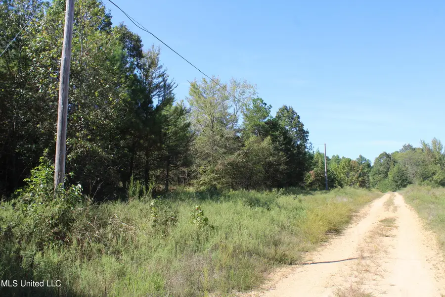 0 Red Banks Road, Byhalia, MS 38611 - Image #3